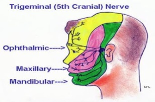 Trigeminal Neuralgia